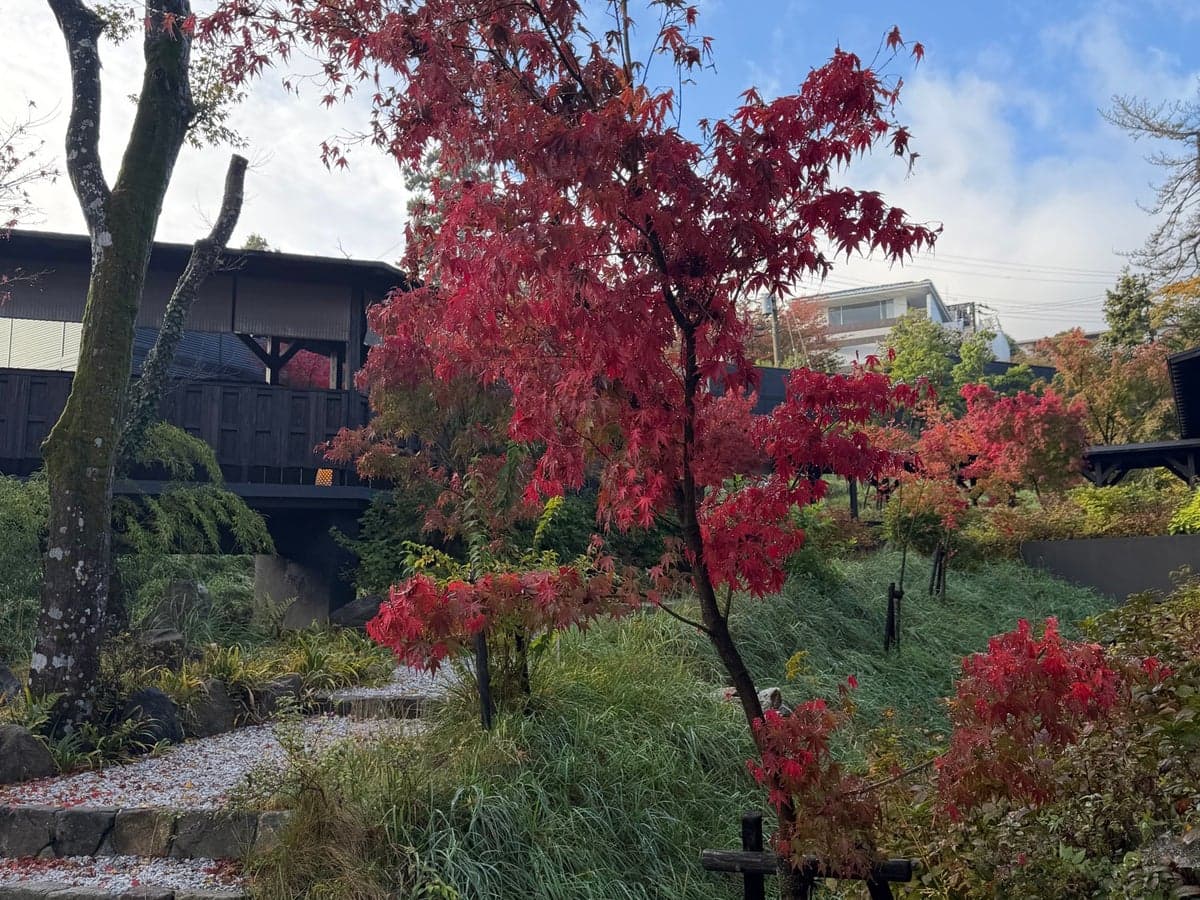 Fufu Hakone