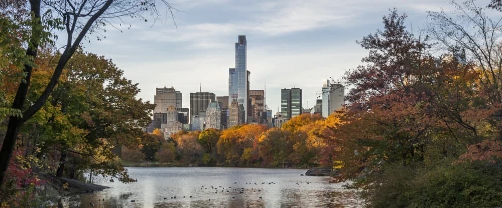 Park Hyatt New York