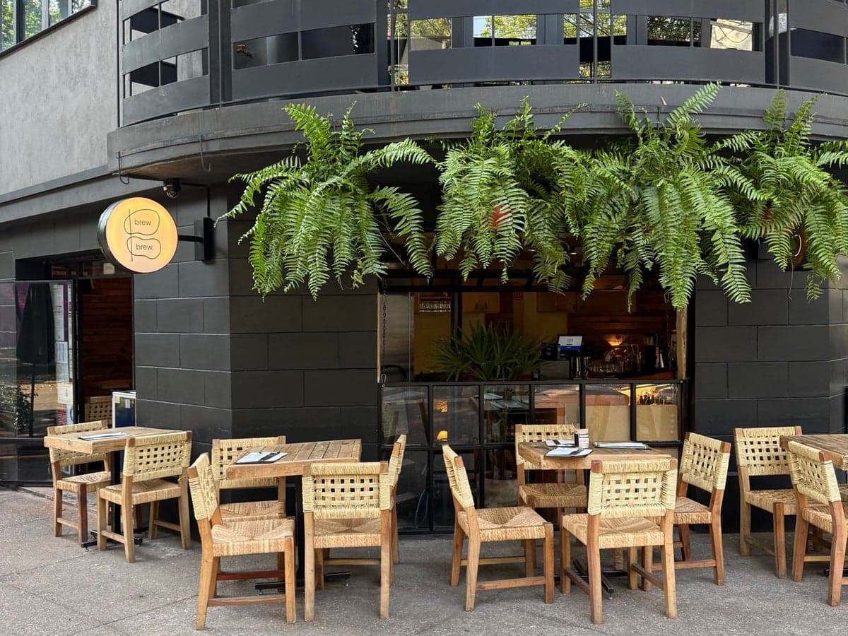 Brew Brew, a coffees in Mexico City