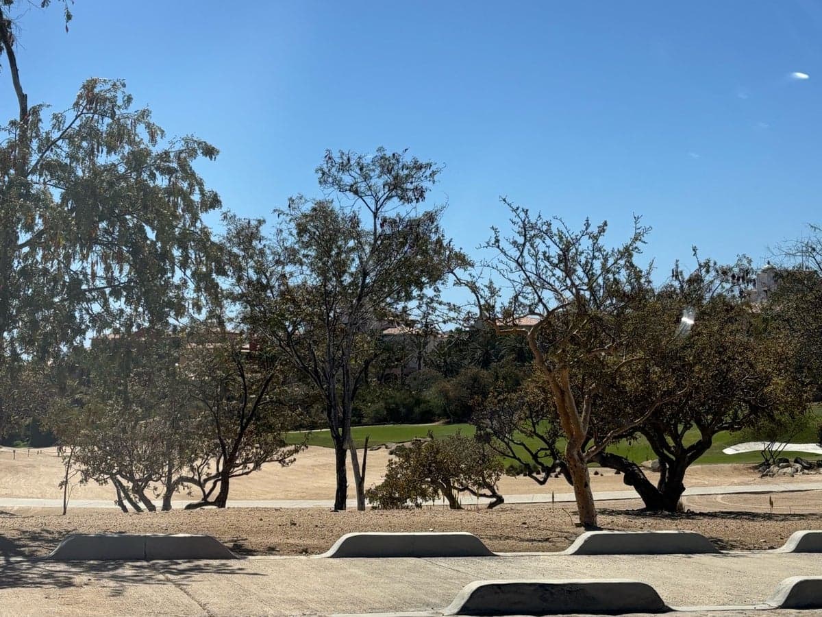 Four Seasons Resort Cabo Del Sol