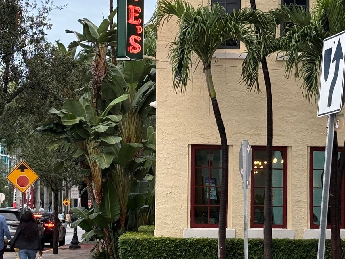 Joe's Stone Crab